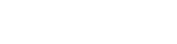 Playo logo